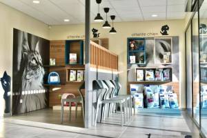 Stéphanie RIPOCHE - peau neuve + octopus studio